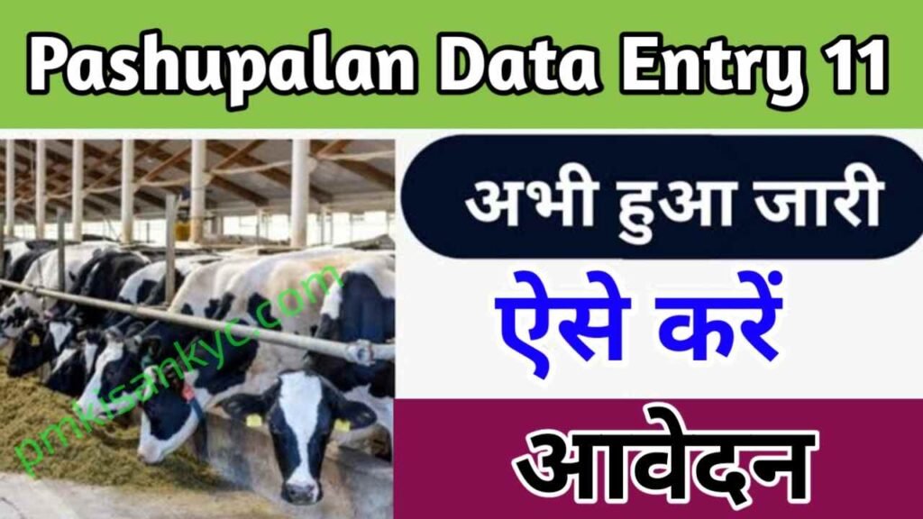 Pashupalan Data Entry 11 Recruitments 2024