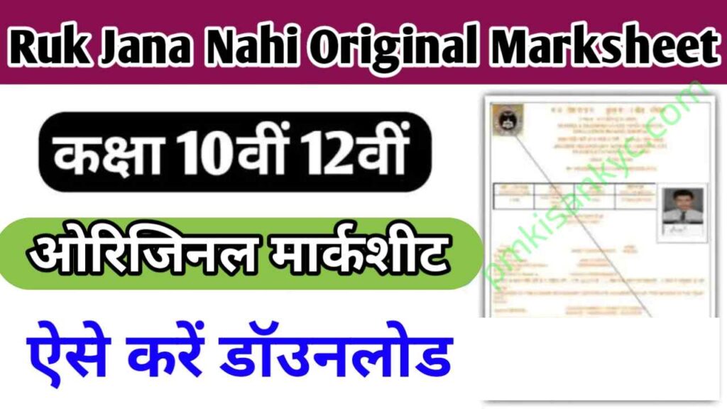 Ruk Jana Nahi Original Marksheet 2024